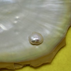 Natural Pearl