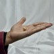Golden Pearl