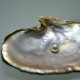 Round Pearls