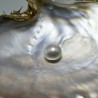 Round Pearls