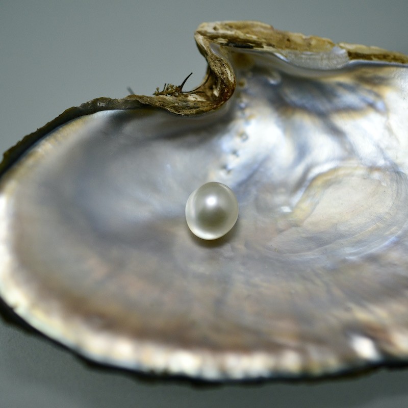 Cultured Pearls