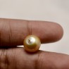 Golden Pearl