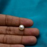 Blister Pearl