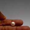 Blister Pearl